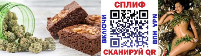 как найти наркотики  Олонец  Еда ТГК марихуана 