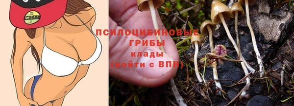 скорость Алзамай