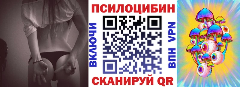 цены   Олонец  Псилоцибиновые грибы Cubensis 